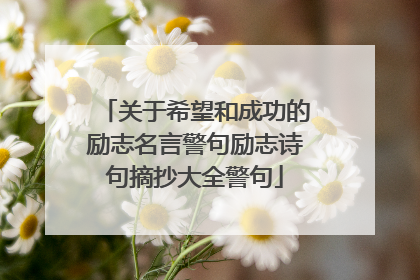 关于希望和成功的励志名言警句励志诗句摘抄大全警句