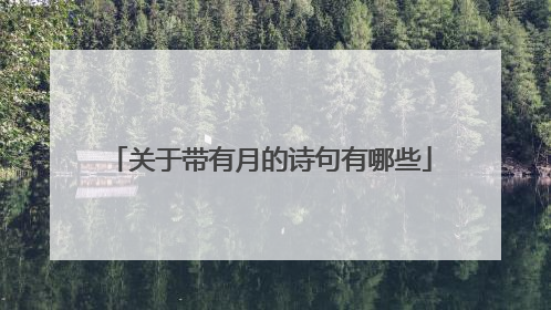 关于带有月的诗句有哪些