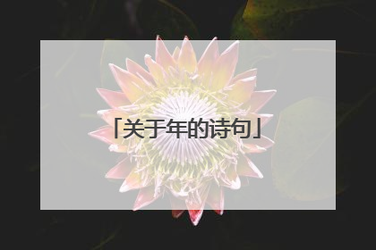 关于年的诗句