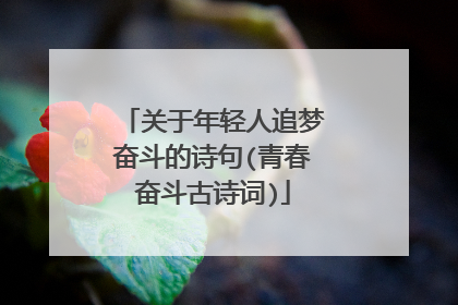关于年轻人追梦奋斗的诗句(青春奋斗古诗词)