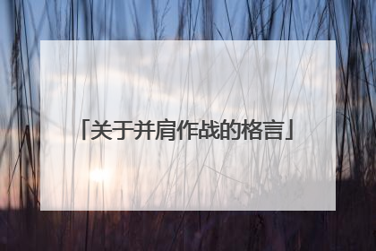 关于并肩作战的格言