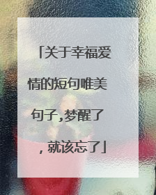 关于幸福爱情的短句唯美句子,梦醒了,就该忘了