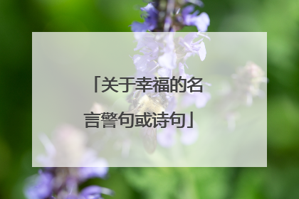 关于幸福的名言警句或诗句