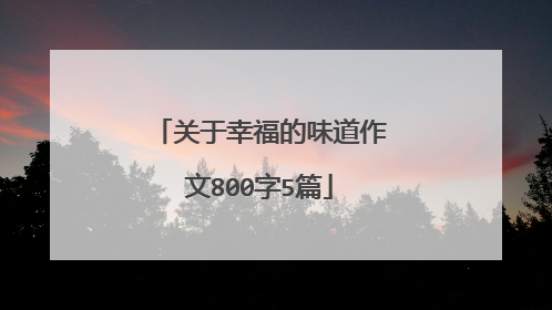 关于幸福的味道作文800字5篇