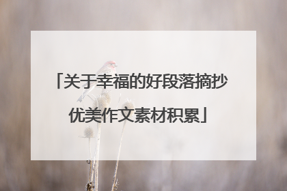 关于幸福的好段落摘抄 优美作文素材积累