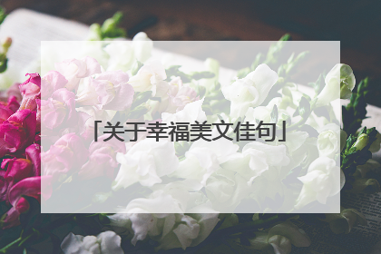 关于幸福美文佳句