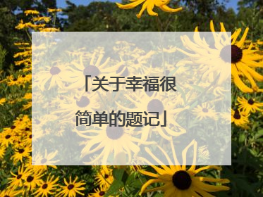 关于幸福很简单的题记