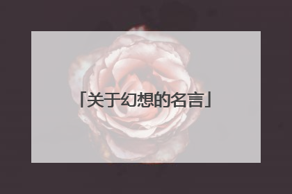 关于幻想的名言