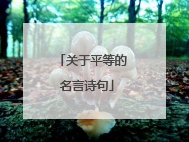 关于平等的名言诗句
