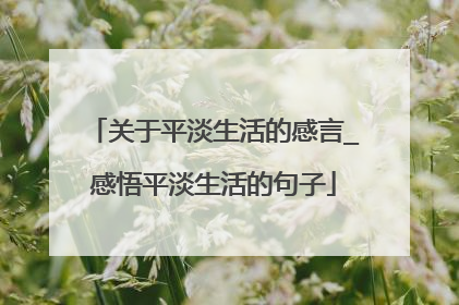 关于平淡生活的感言_感悟平淡生活的句子