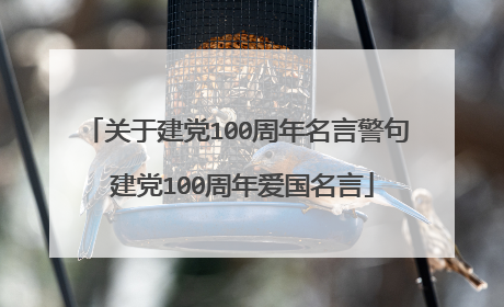 关于建党100周年名言警句 建党100周年爱国名言