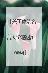 关于廉洁名言大全精选100句