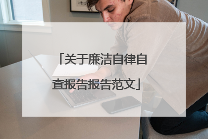 关于廉洁自律自查报告报告范文