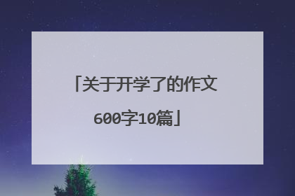 关于开学了的作文600字10篇