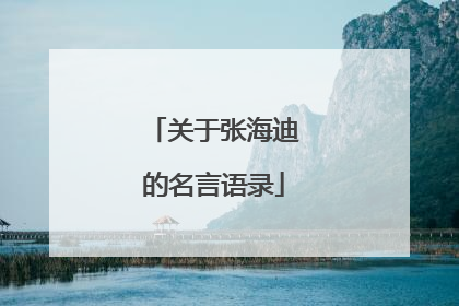 关于张海迪的名言语录