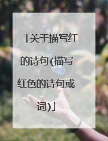 关于描写红的诗句(描写红色的诗句或词)