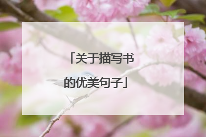 关于描写书的优美句子