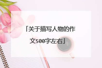 关于描写人物的作文500字左右