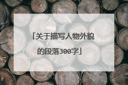 关于描写人物外貌的段落300字