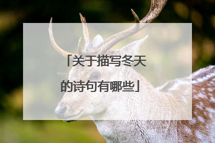 关于描写冬天的诗句有哪些