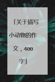 关于描写小动物的作文，400字