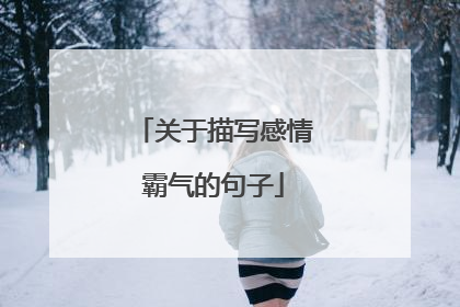 关于描写感情霸气的句子