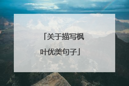 关于描写枫叶优美句子