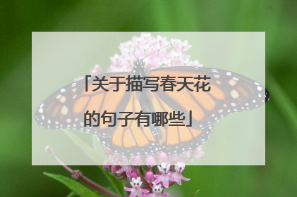 关于描写春天花的句子有哪些