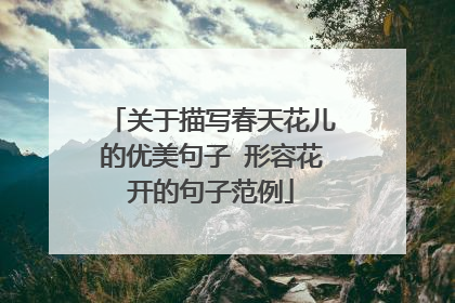 关于描写春天花儿的优美句子 形容花开的句子范例