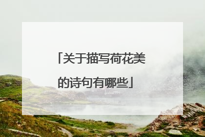 关于描写荷花美的诗句有哪些