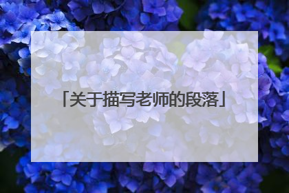 关于描写老师的段落
