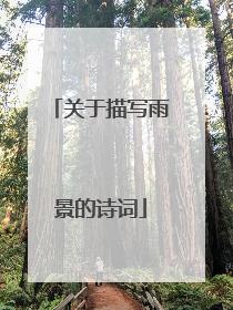 关于描写雨景的诗词