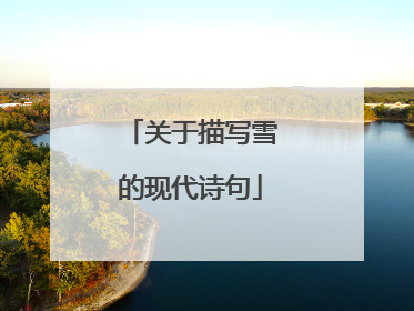 关于描写雪的现代诗句