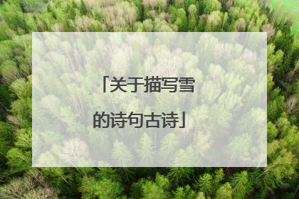 关于描写雪的诗句古诗