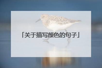 关于描写颜色的句子