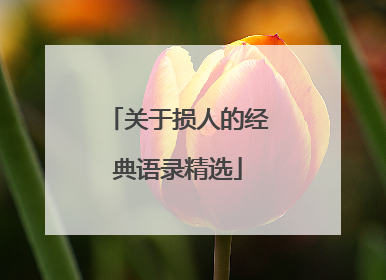 关于损人的经典语录精选