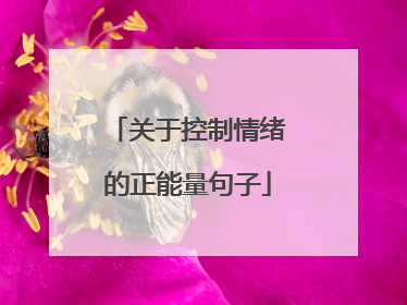 关于控制情绪的正能量句子