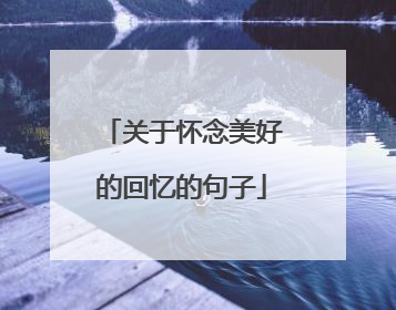 关于怀念美好的回忆的句子