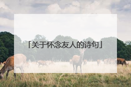 关于怀念友人的诗句
