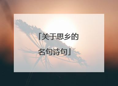 关于思乡的名句诗句