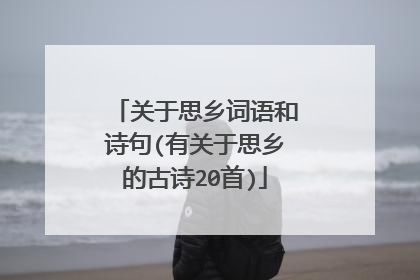 关于思乡词语和诗句(有关于思乡的古诗20首)
