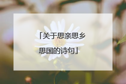 关于思亲思乡思国的诗句