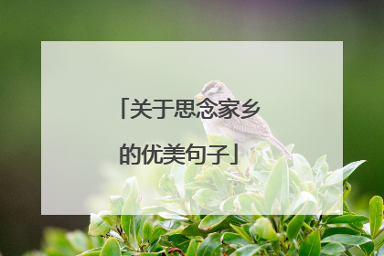 关于思念家乡的优美句子