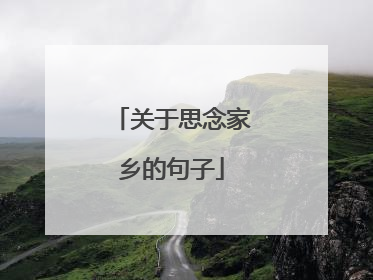 关于思念家乡的句子