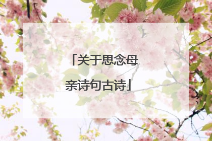 关于思念母亲诗句古诗