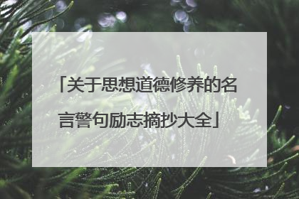 关于思想道德修养的名言警句励志摘抄大全