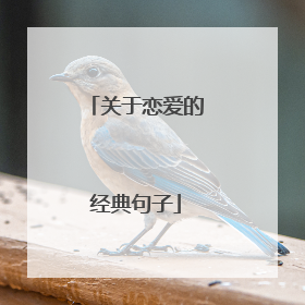 关于恋爱的经典句子