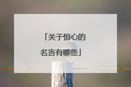 关于恒心的名言有哪些