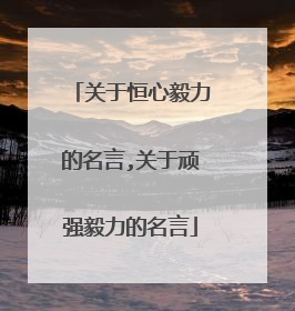 关于恒心毅力的名言,关于顽强毅力的名言