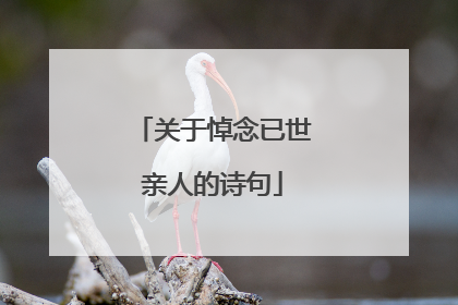 关于悼念已世亲人的诗句